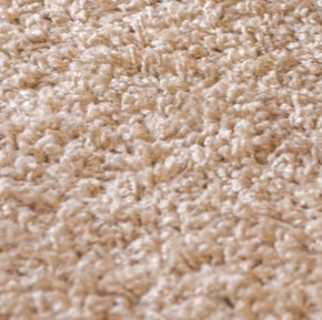 A close-up of a beige, shaggy carpet texture.