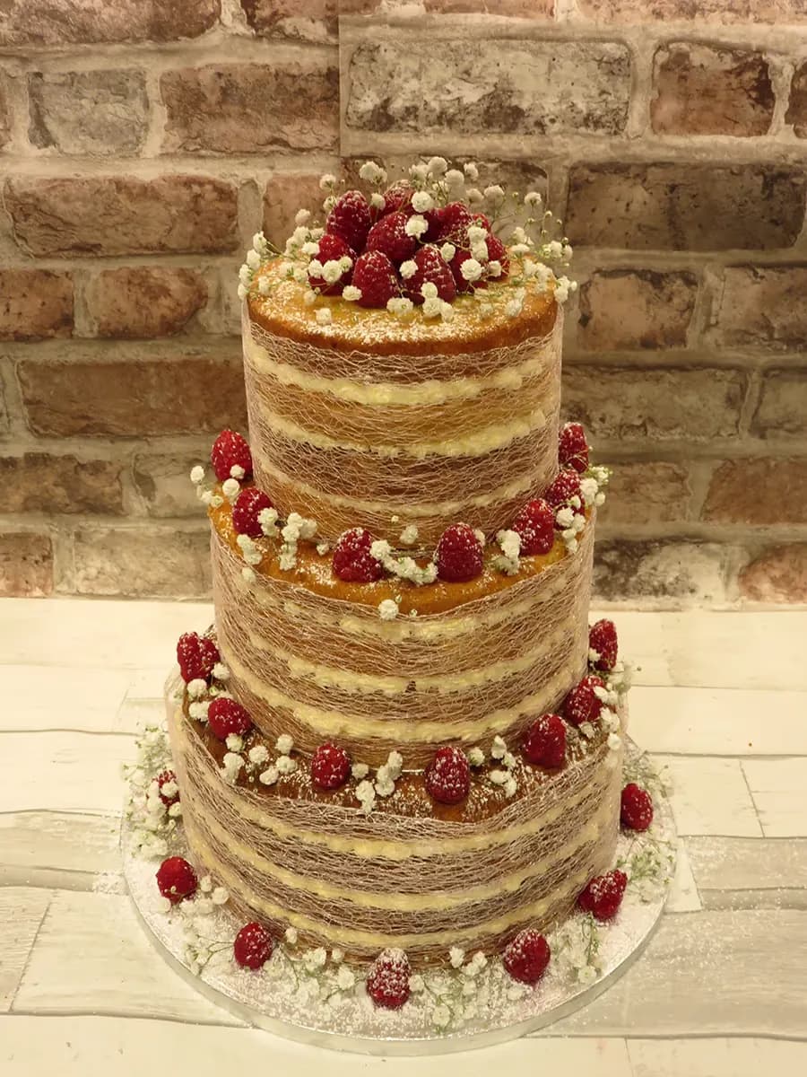 A three-tier naked cake with visible sponge layers and cream filling, adorned with fresh raspberries, white baby's breath flowers, and a delicate spun sugar web around each tier, lightly dusted with powdered sugar.