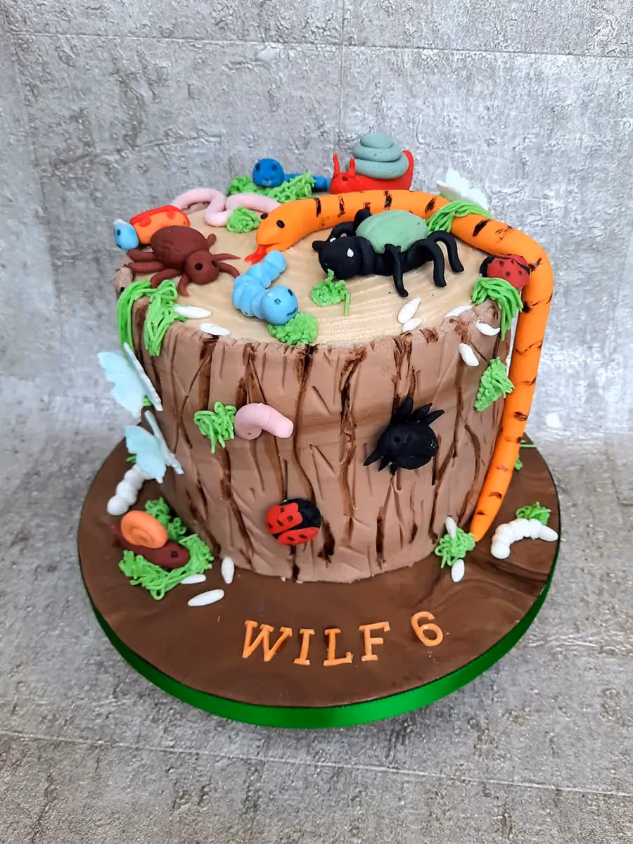 A round birthday cake designed as a brown tree stump, decorated with various edible garden creatures including an orange snake, green spider, blue caterpillar, brown beetle, pink worm, ladybug, and snail, with 'WILF 6' written in orange letters on the base.