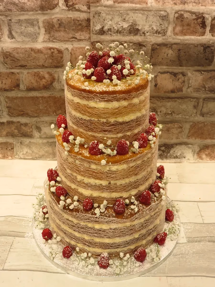 A three-tier naked cake with visible sponge layers and cream filling, adorned with fresh raspberries, white baby's breath flowers, and a delicate spun sugar web around each tier, lightly dusted with powdered sugar.